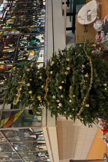 Kerstboom Emmacollege